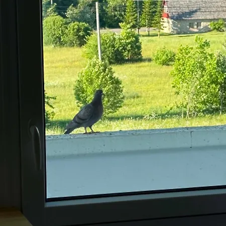 Monus Peatuspaik Saaremaa Pohjaranniku Avastamiseks Apartment